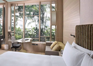 Room Room