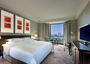 Room Room