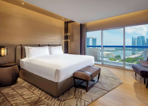 Room Room