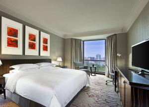 Room Room