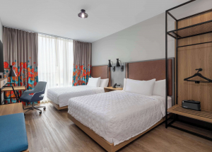 Room Room