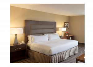 Room Room