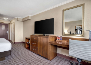 Room Room