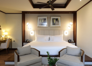 Room Room