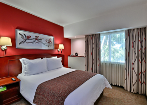 Room Room